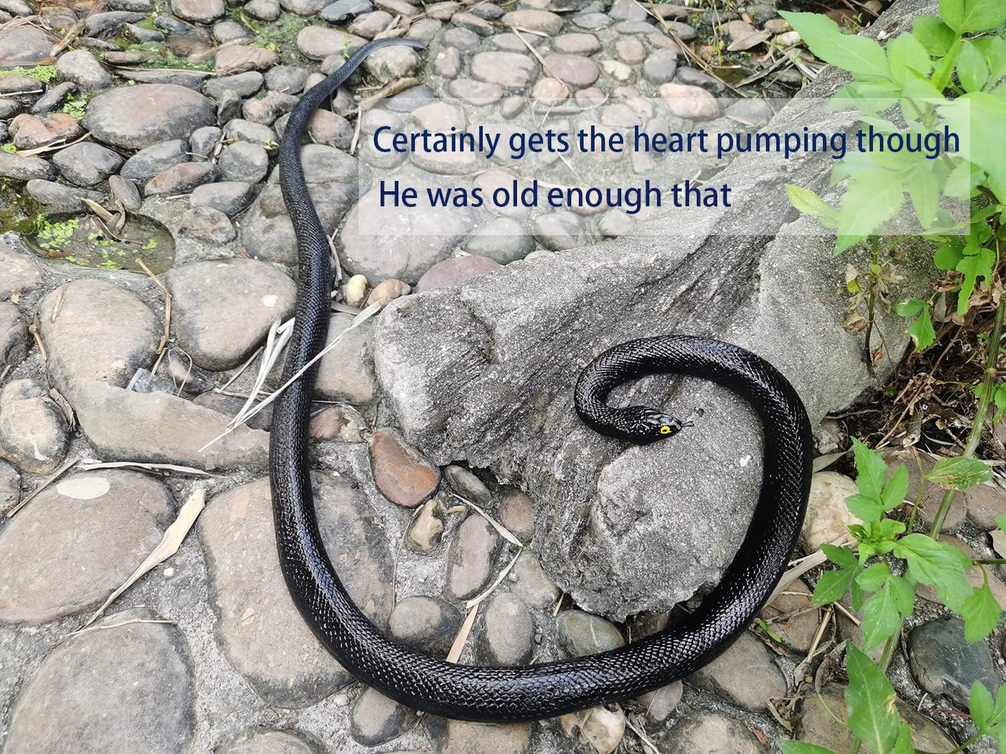 53″ Rubber Snake Realistic Fake Snakes Prank Toy to Keep Birds Away Scare |