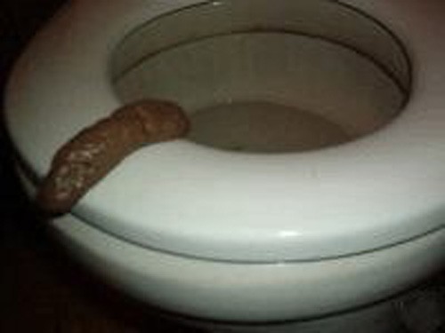 Bathroom Prank Fake Party Pooper Crap Turd – Human Poop Funny Joke Toilet Poo