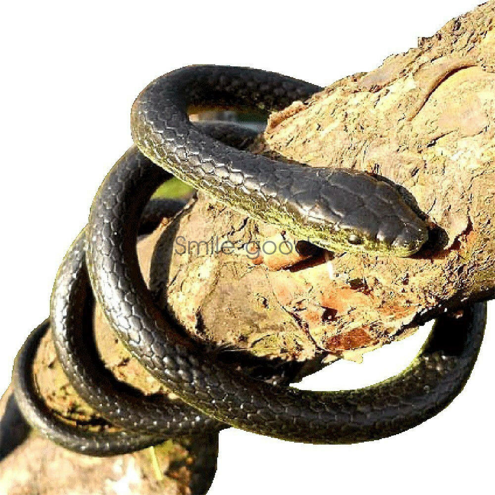 52″ Mamba Realistic Rubber Fake Snake Toy For Garden Props and Halloween Joke US