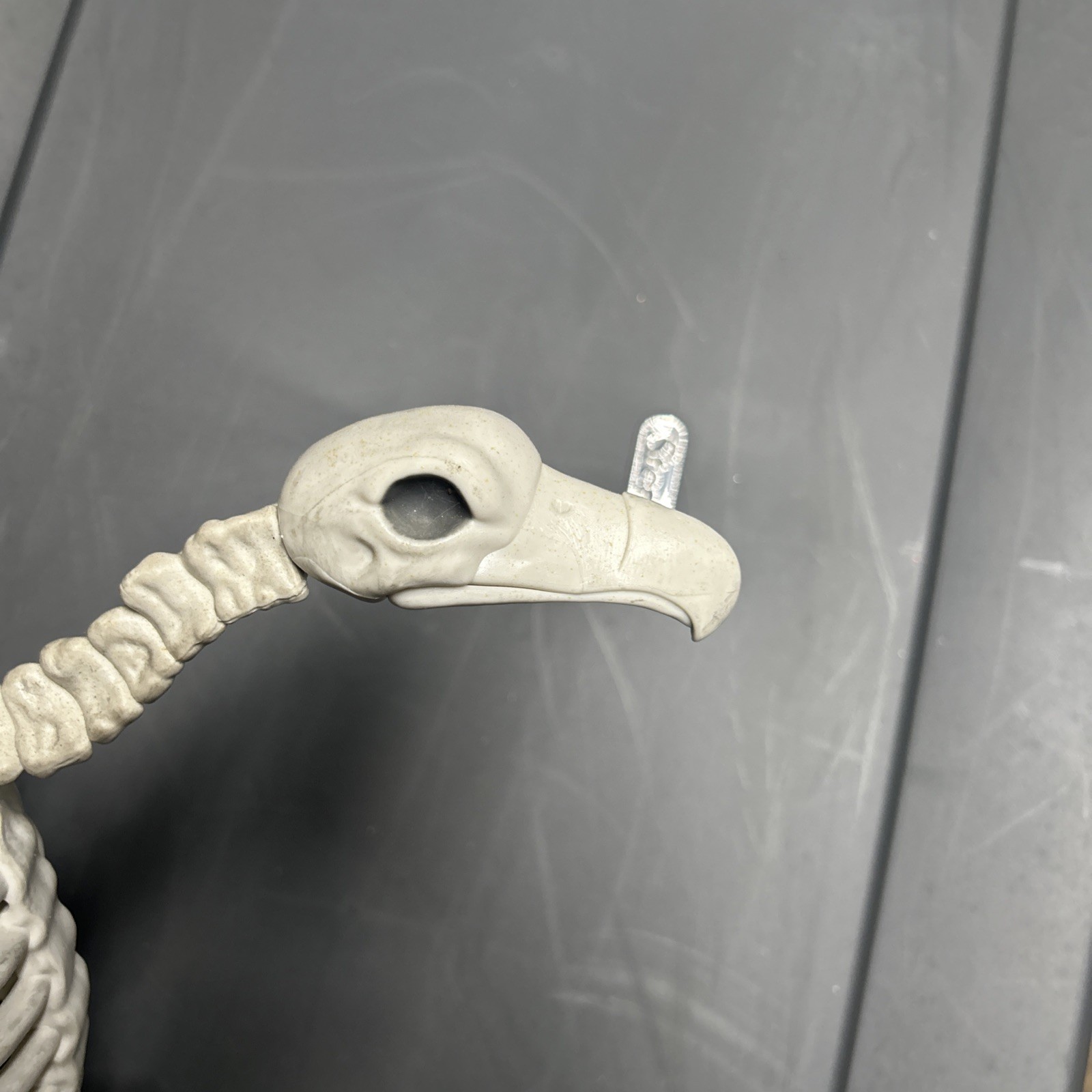 Halloween Skeleton VULTURE Buzzard Bird Animal Decorations Realistic Bones Prop
