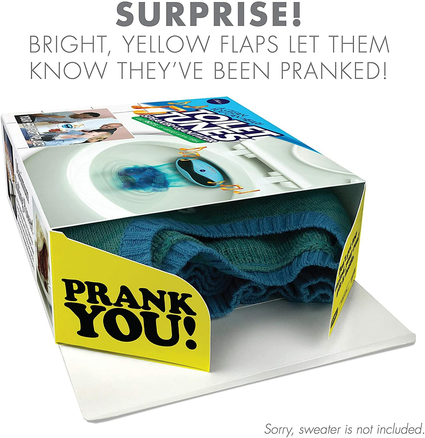 TOILET TUNES Prank Fake Gag Funny PARODY Joke Gift Box toilet paper insanity