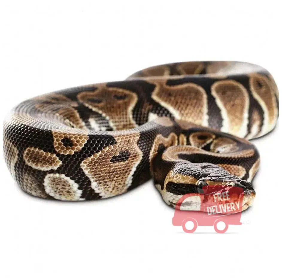 Realistic Big Rubber Snake Lifelike Scary Prank Toy Joke Party Prop Garden