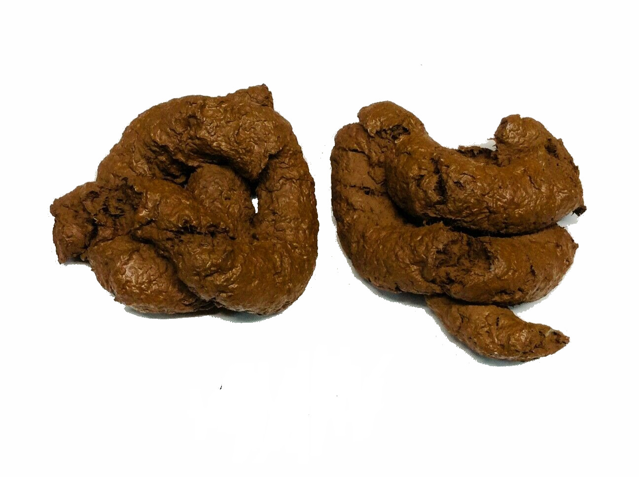 Puppy Poop (2) Doggie DOO, Dog Sh*t, Crap, Turd, Imitation A real Gags & Tricks!
