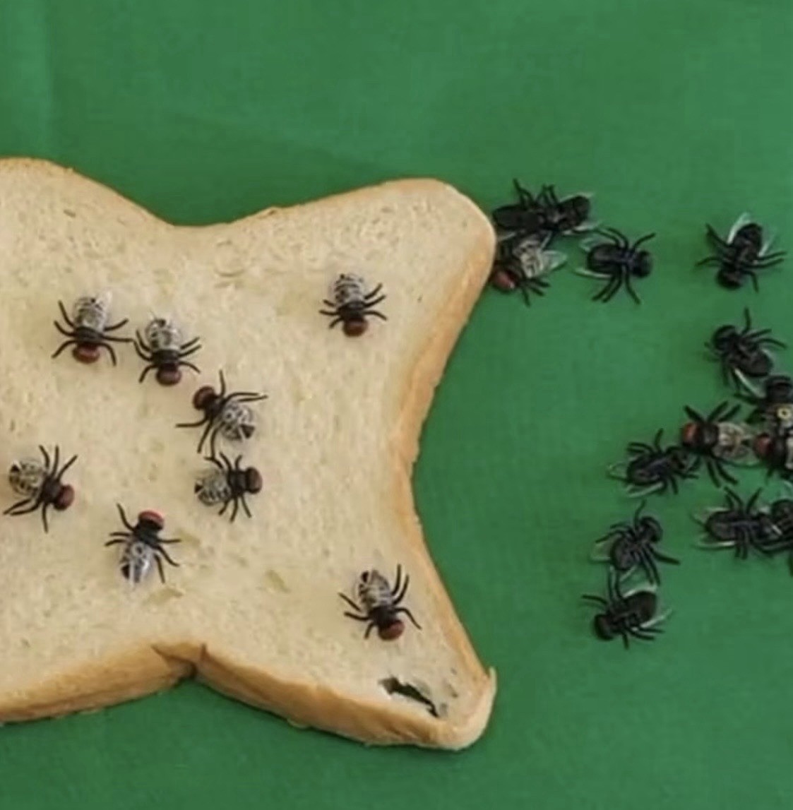 100pcs Plastic Flies Joke Novelty Toys