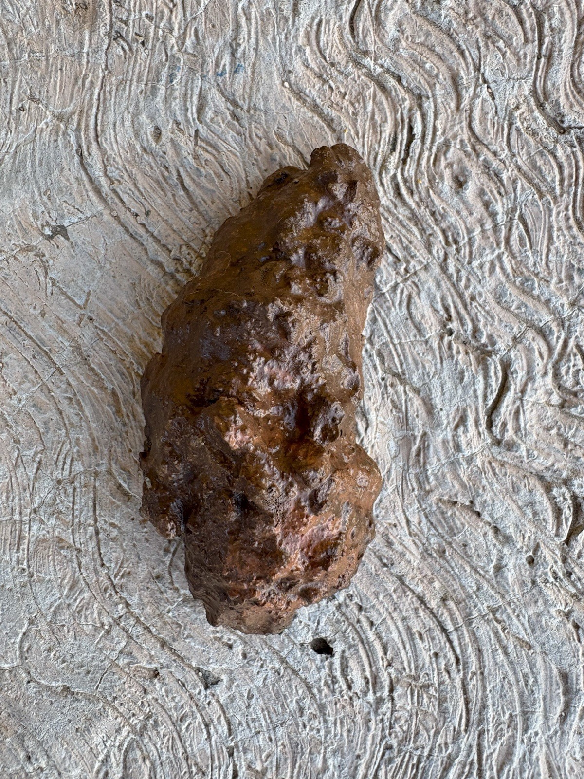💩⚠️🥳Handmade Fake Turd Prank Prop | Concrete Novelty Gag Gift Poop💩⚠️🥳