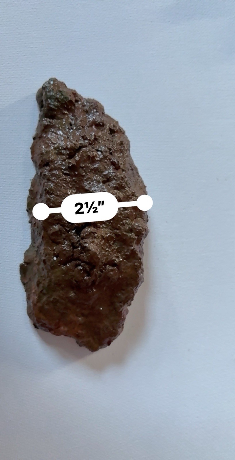 💩⚠️🥳Handmade Fake Turd Prank Prop | Concrete Novelty Gag Gift Poop💩⚠️🥳