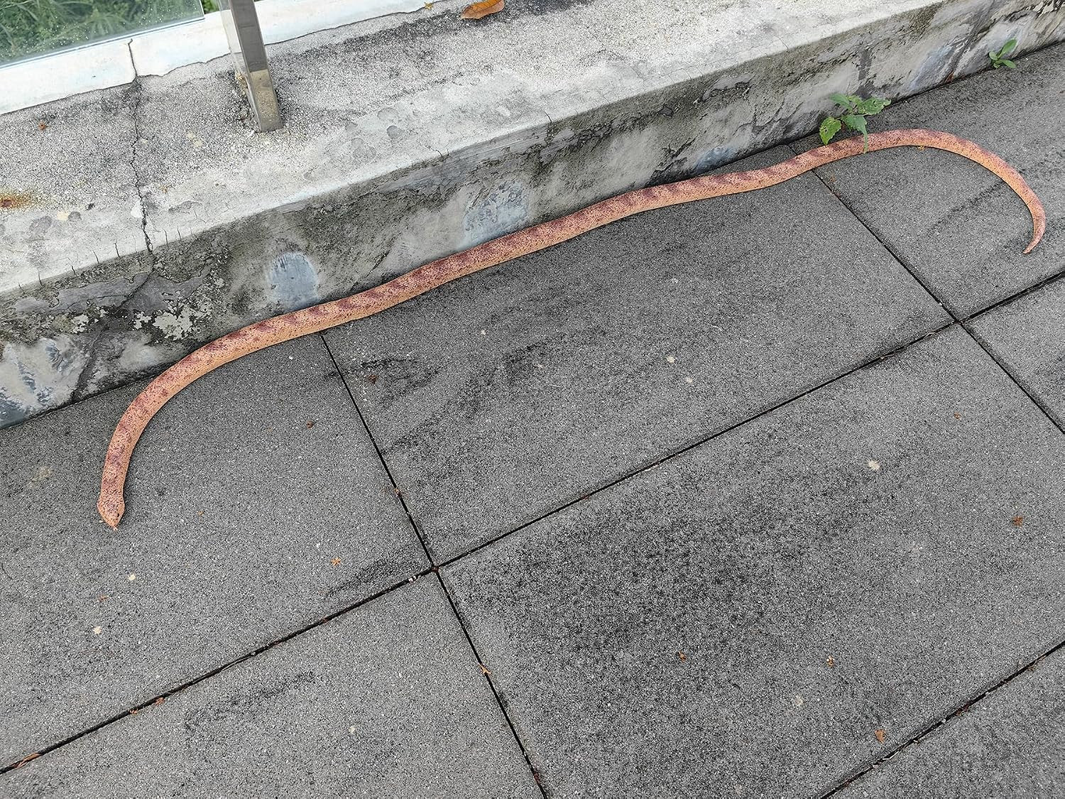 53″ Rubber Snake Realistic Fake Snakes Prank Toy to Keep Birds Away Scare