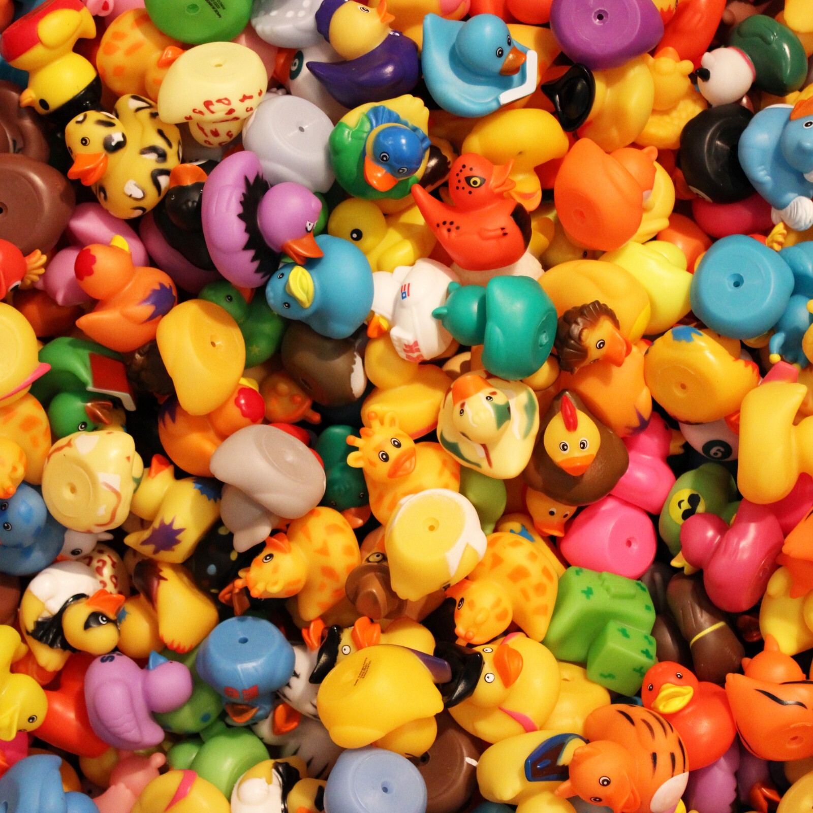 100 Assorted Rubber Ducks from The Rubber Duckery | Perfect for Duck Duck Jeep