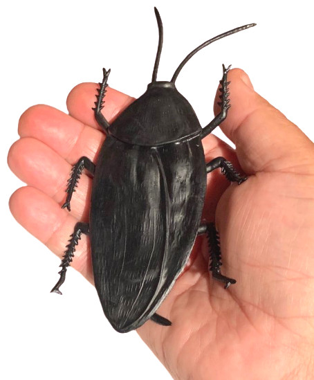 JUMBO COCKROACH 6″ Giant Rubber Fake Bug Prank Joke Gag Funny Roach Halloween