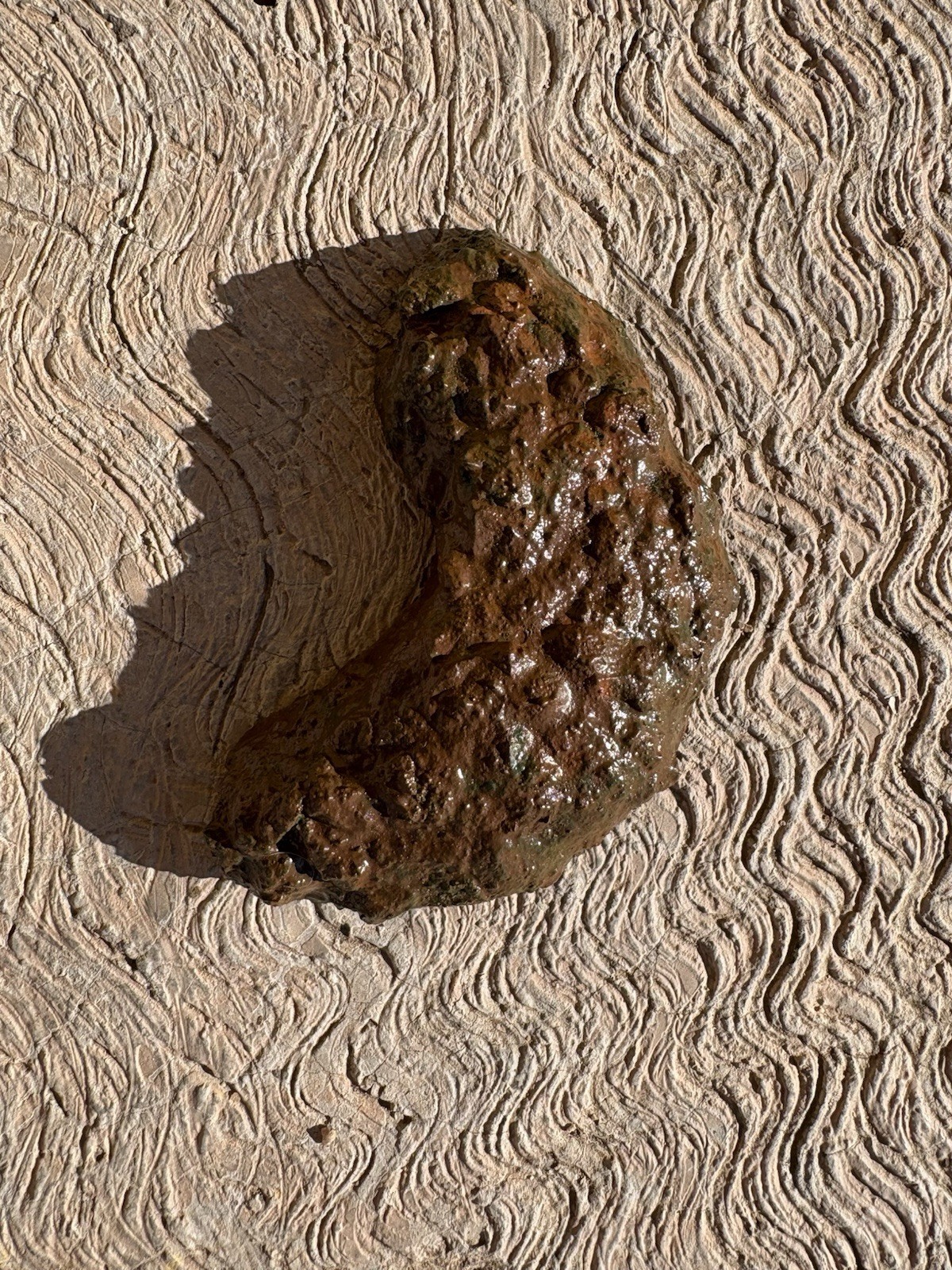 Realistic Fake Poop Concrete Prank Gift – Handmade Custom Joke Gag Turd Novelty