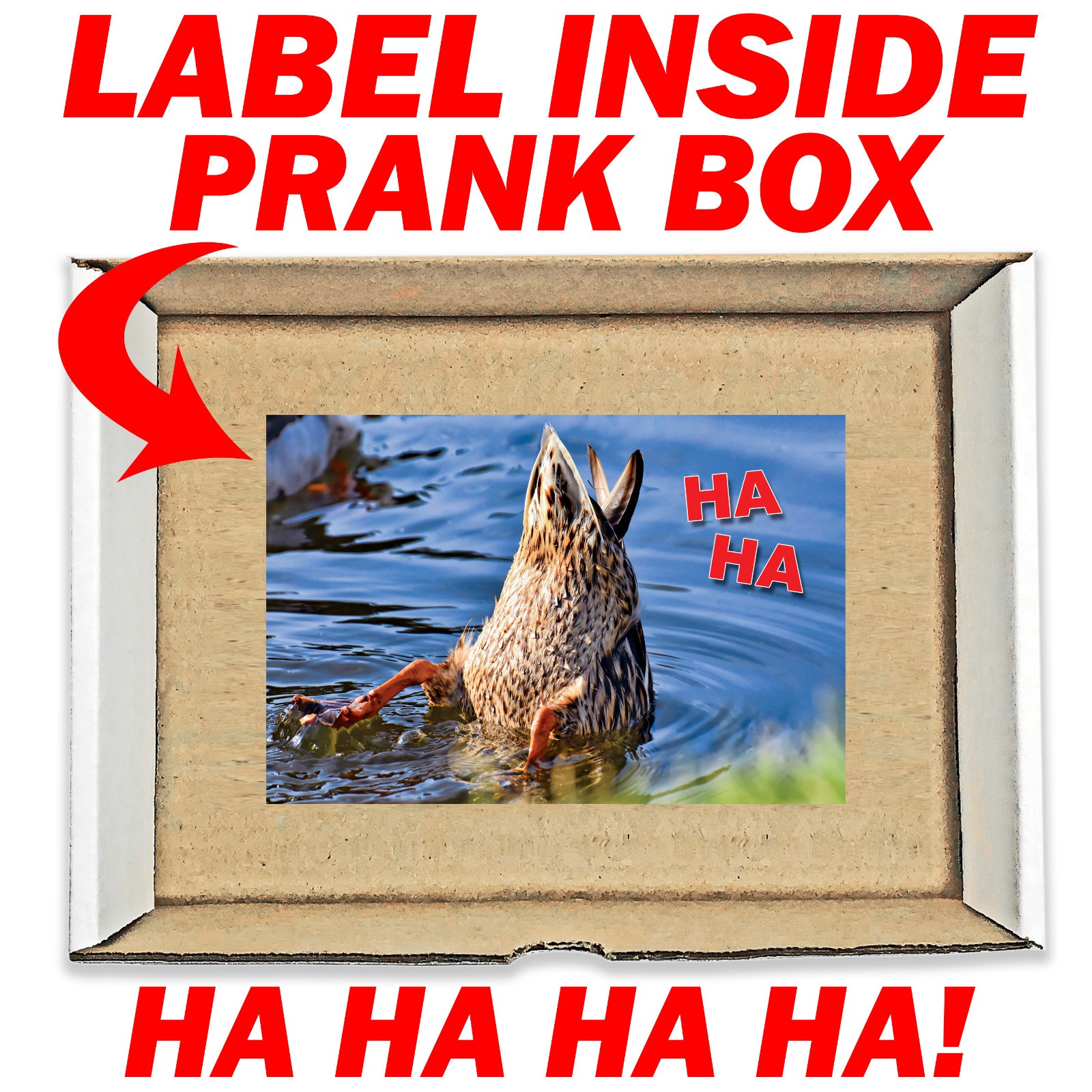 Duck Pic Prank Mail Sent Anonymously to your Friends!
