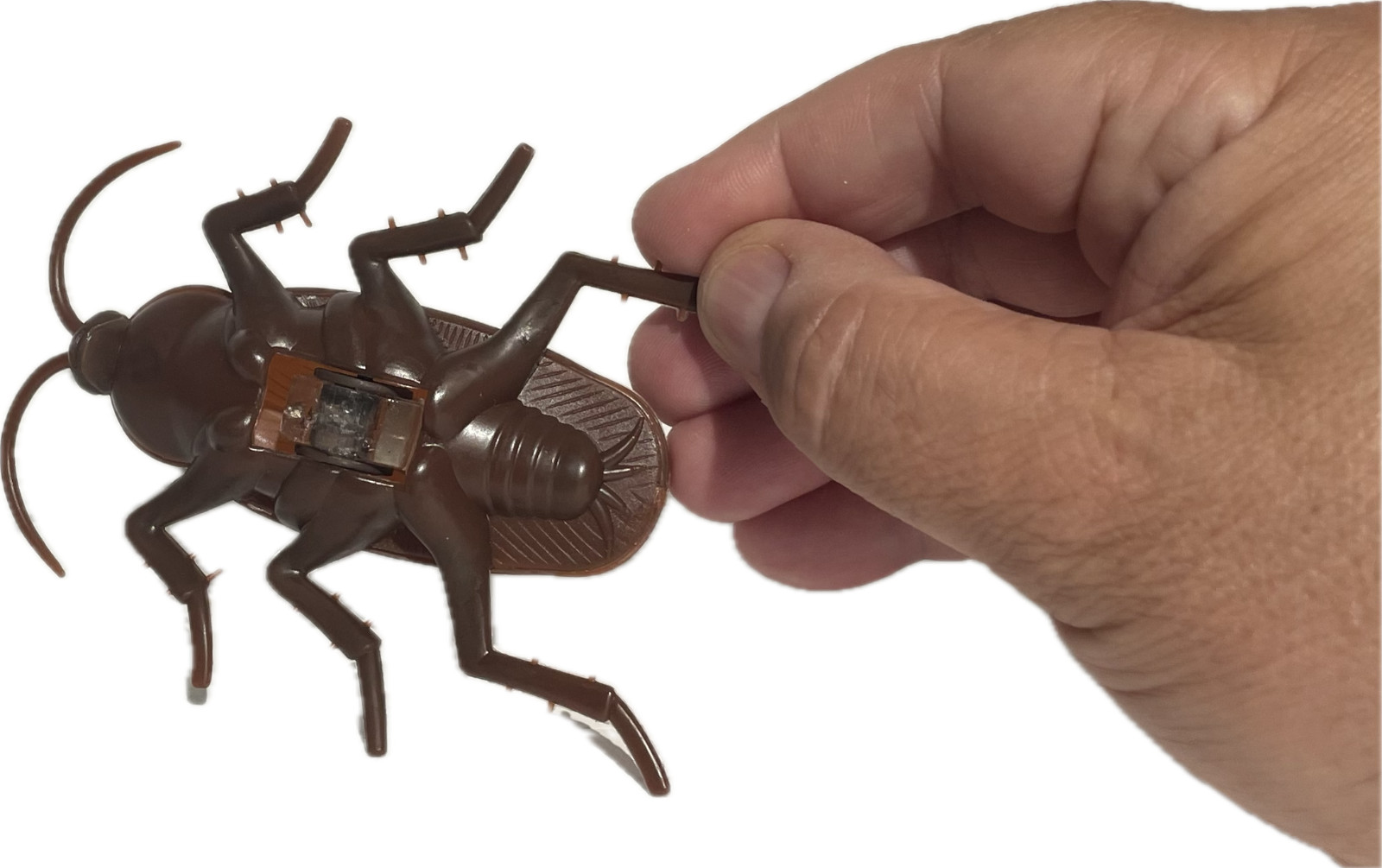 Funny WALKING COCKROACH Jumbo Roach Sticks & Crawls Down Wall Prank Joke Toy Bug