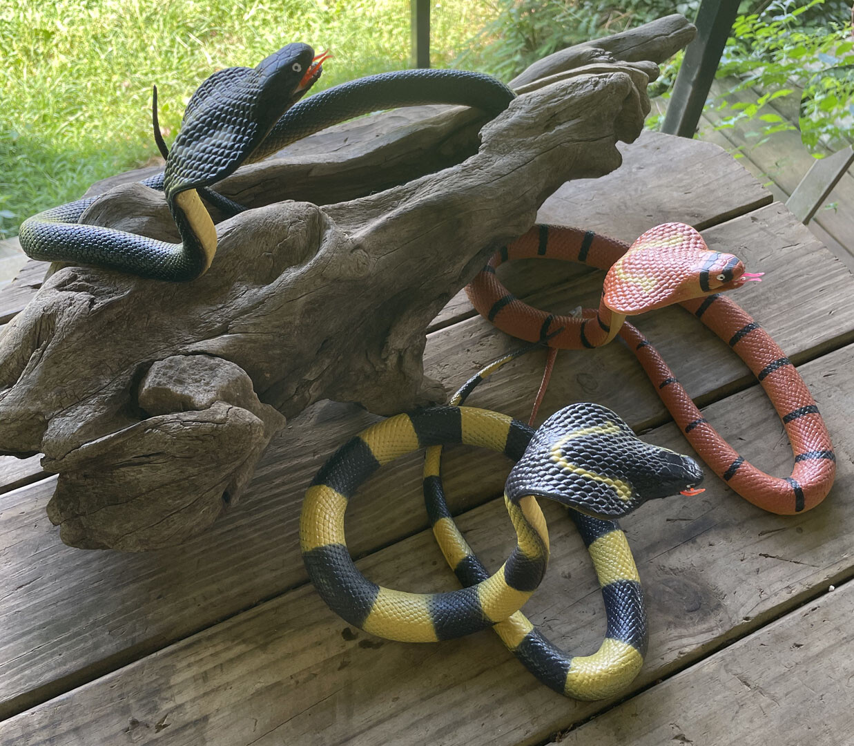 40″ Cobra Rubber Snake Replica – Choice of 3 Varieties
