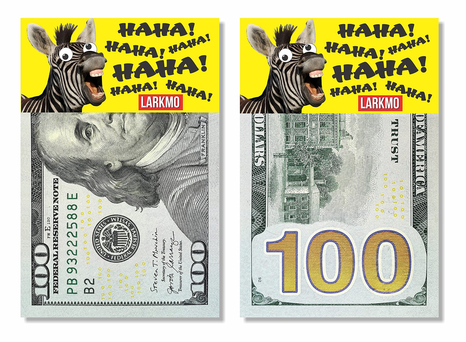 Larkmo The Pranking Zebra Funny $100 Gag, Realistic One Small, Multicolor