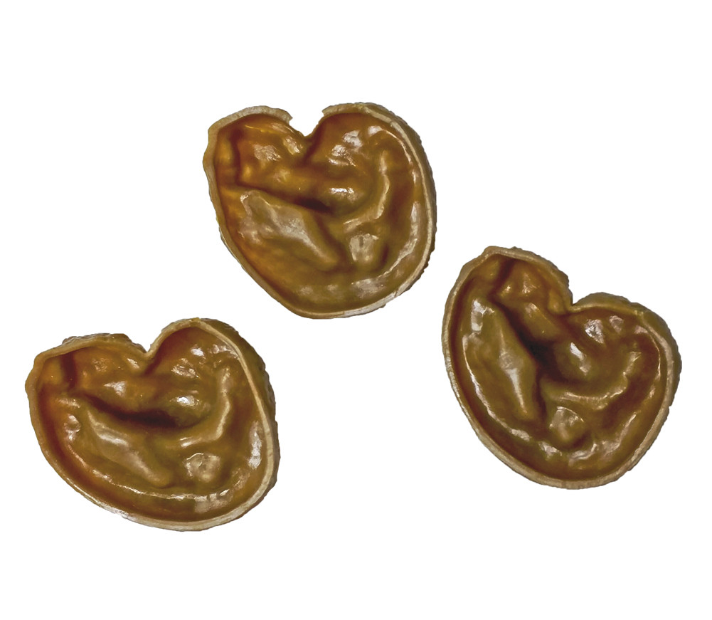 Fake Dog Poo Poop Prank Gag Joke 3 Pk