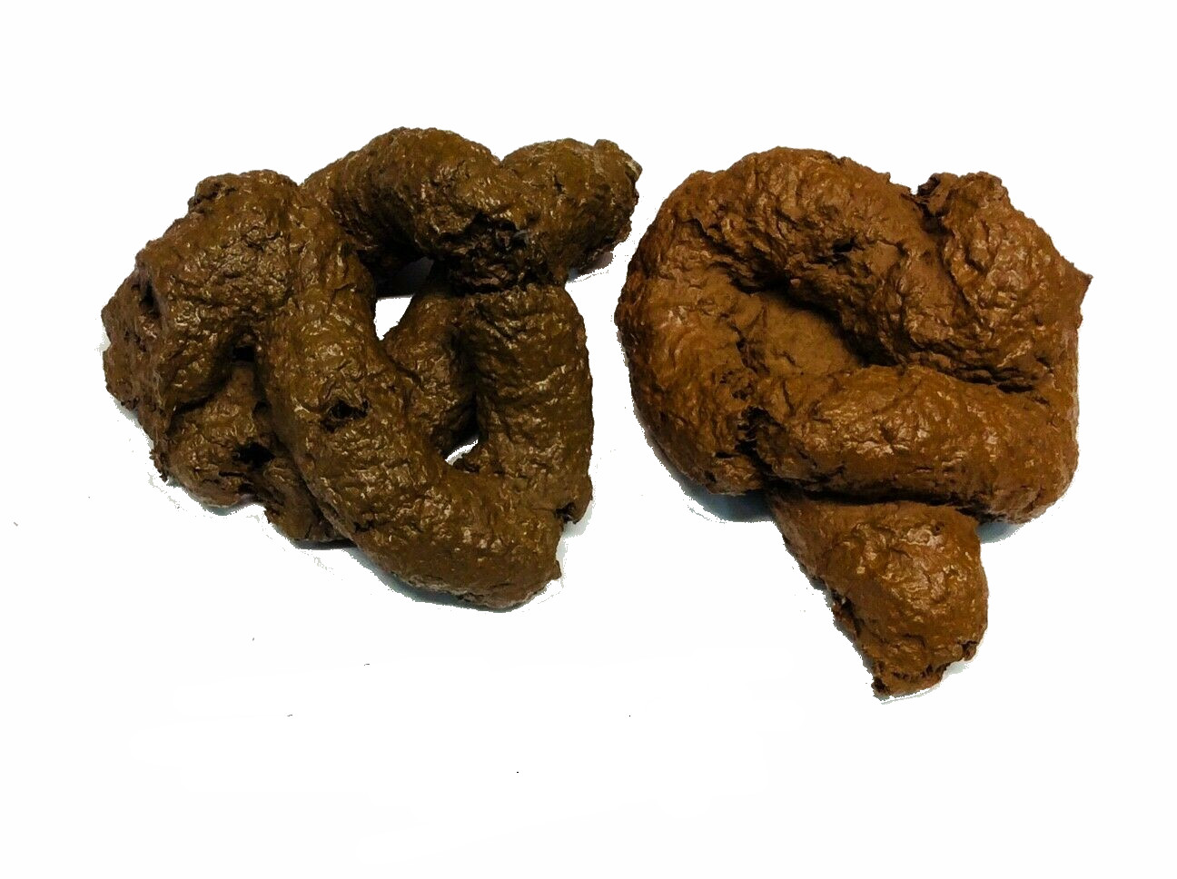 Puppy Poop (2) Doggie DOO, Dog Sh*t, Crap, Turd, Imitation A real Gags & Tricks!