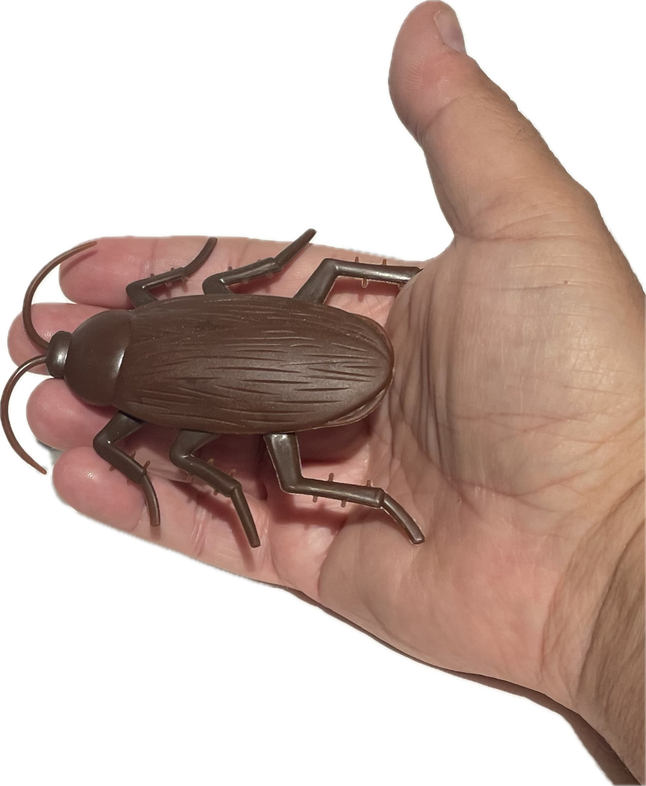Funny WALKING COCKROACH Jumbo Roach Sticks & Crawls Down Wall Prank Joke Toy Bug