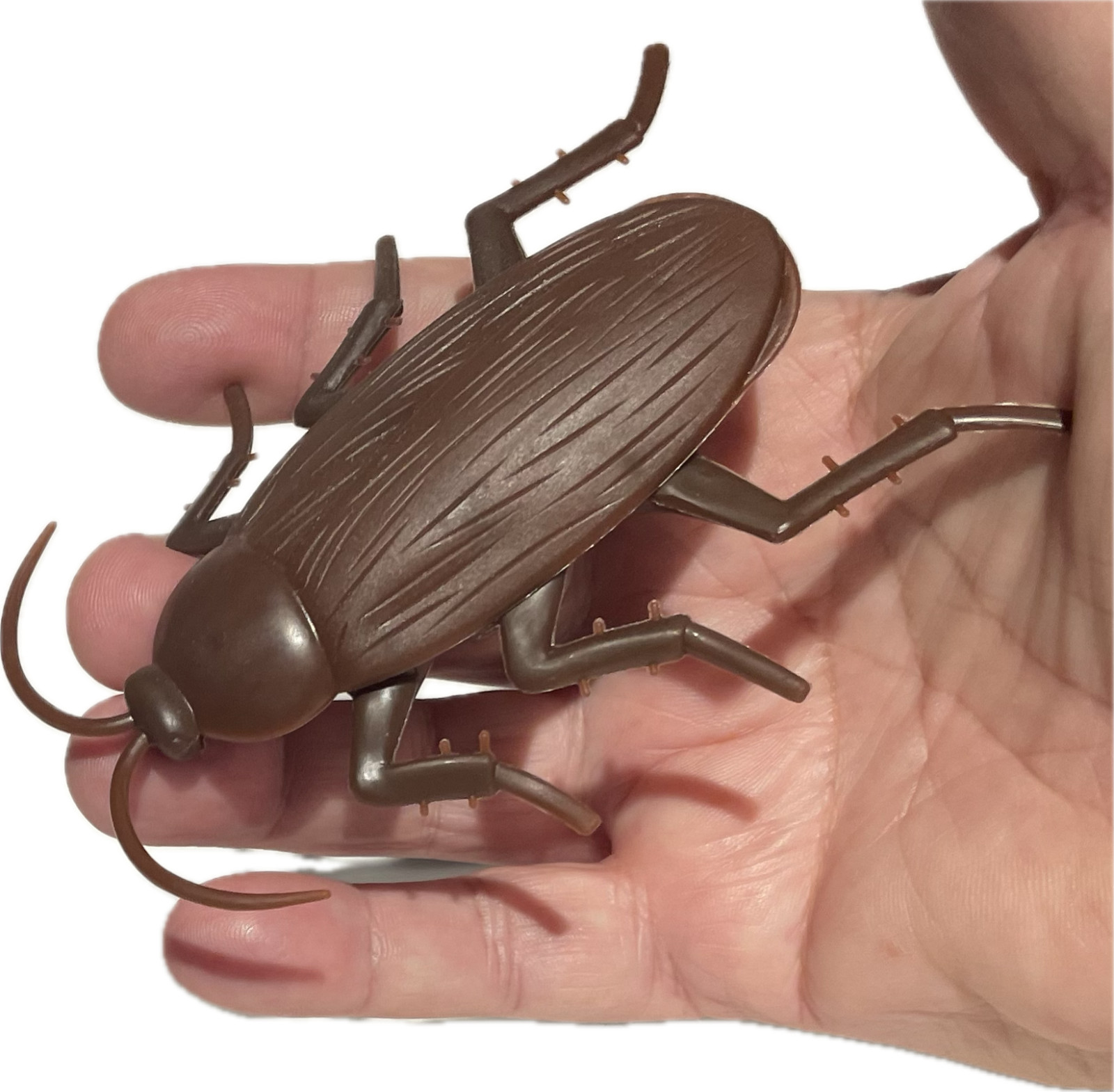 Funny WALKING COCKROACH Jumbo Roach Sticks & Crawls Down Wall Prank Joke Toy Bug