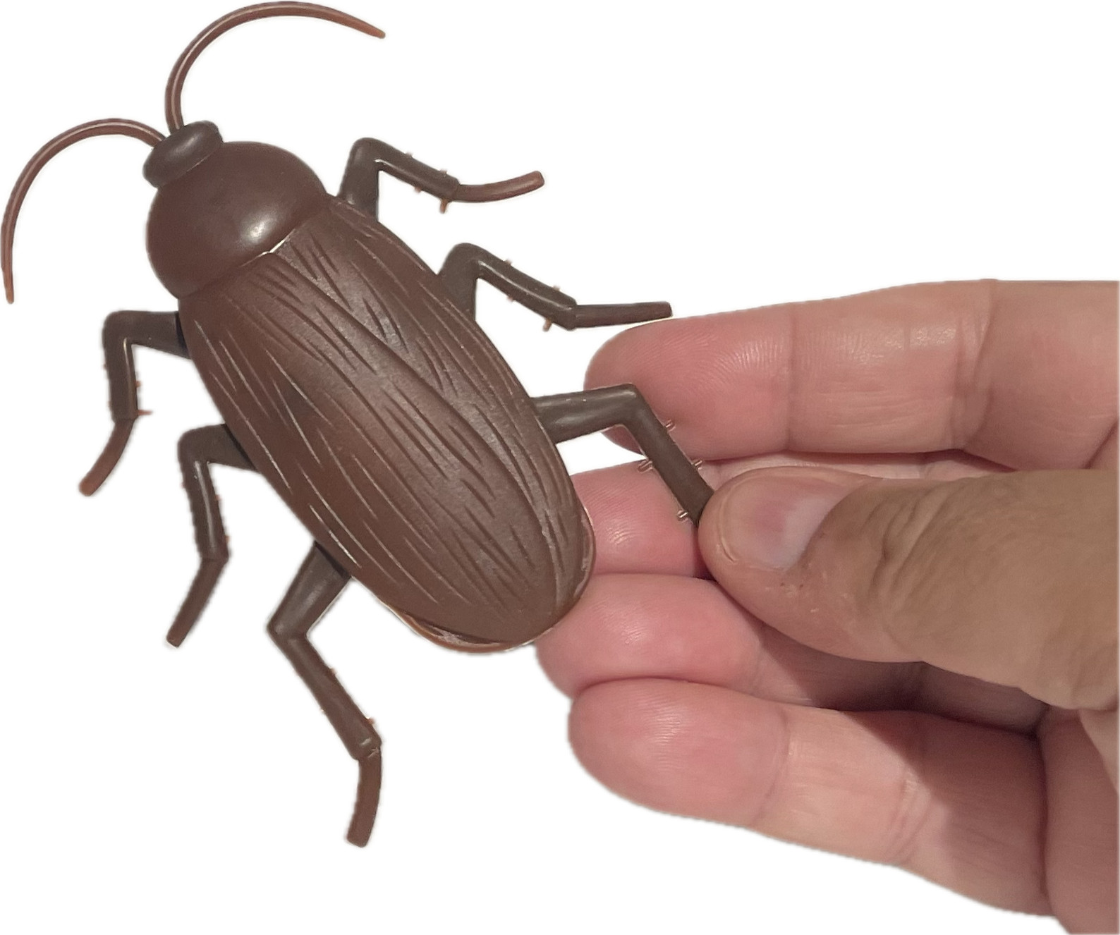Funny WALKING COCKROACH Jumbo Roach Sticks & Crawls Down Wall Prank Joke Toy Bug