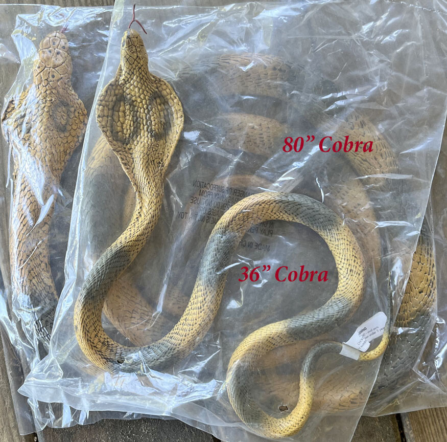 Cobra Snake Replica – AAA – Small – Choice of 4 Varieties