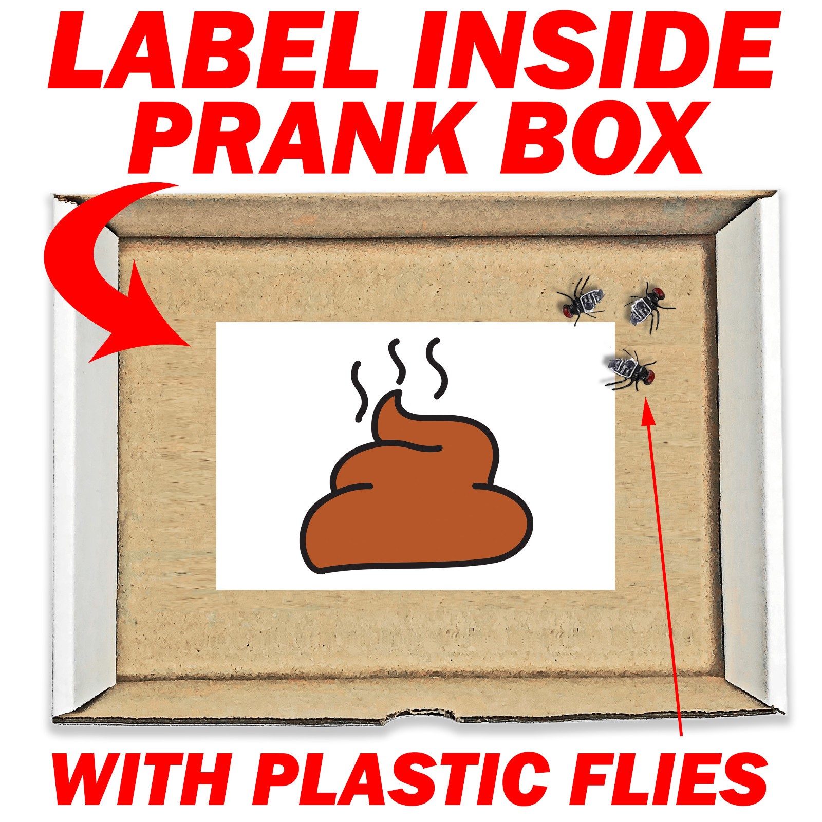 Steaming Poo with Flies Prank Mail Sent Anonymously!