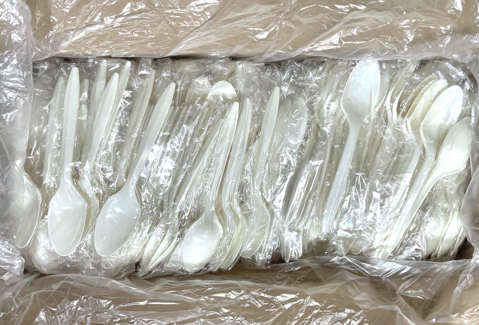 1000 Individually Wrapped Plastic Spoons Disposable Medium Weight Durable WHITE