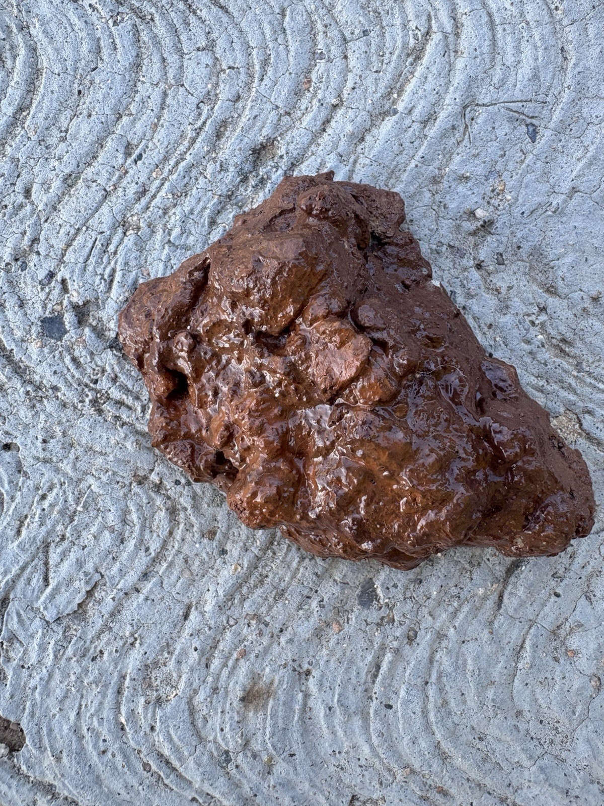 Realistic Fake Poop Concrete Prank Gift – Handmade Custom Joke Gag Turd Novelty