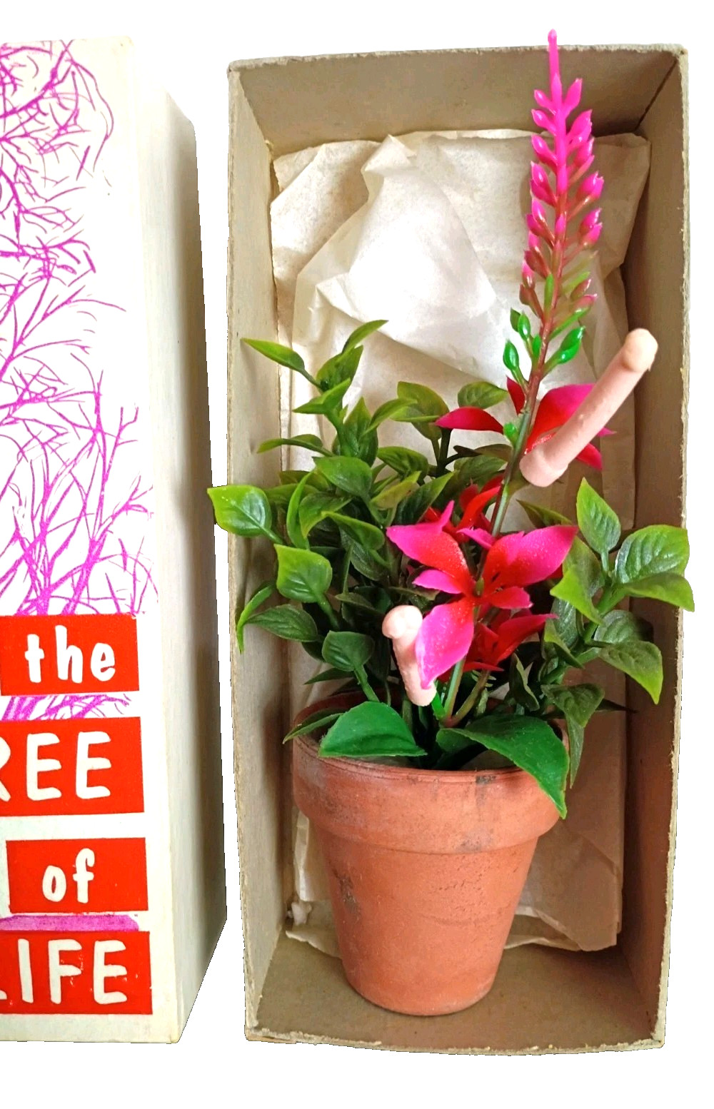 1960s Gag Gifts: The Tree Of Life, and The Can-can Tree, Soft Porn Humor in box