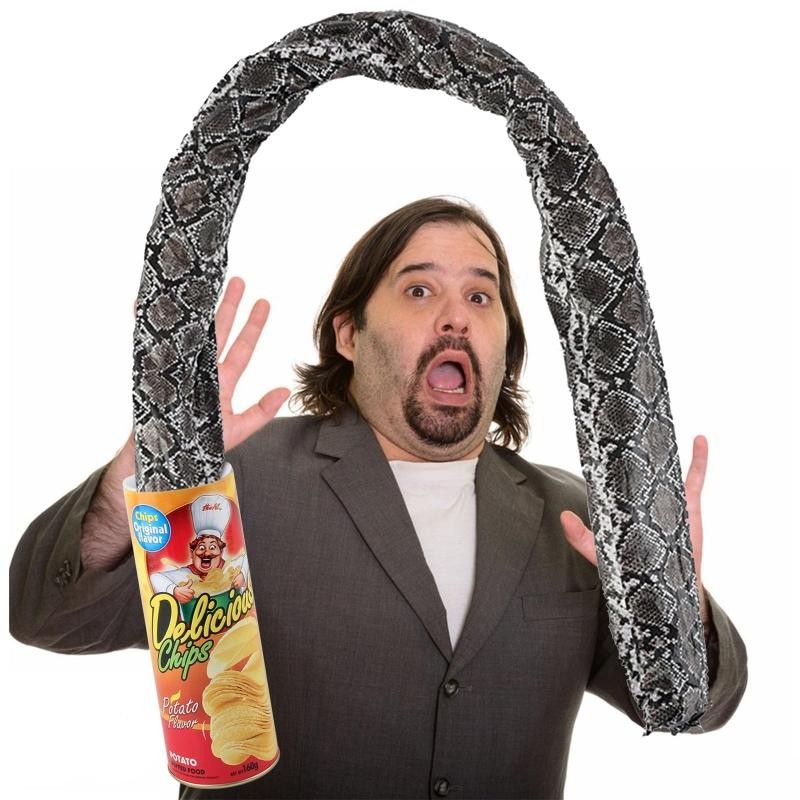Spring Snake in a Can Prank Toy Potato Chip Jump Scare Gag Gift April Fools Joke