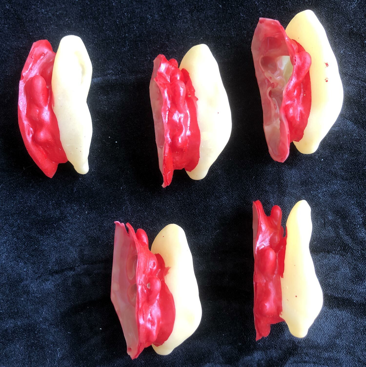 5pc Bloody Body Part Fake HUMAN SEVERED EARS Zombie Hunter Halloween Horror Prop