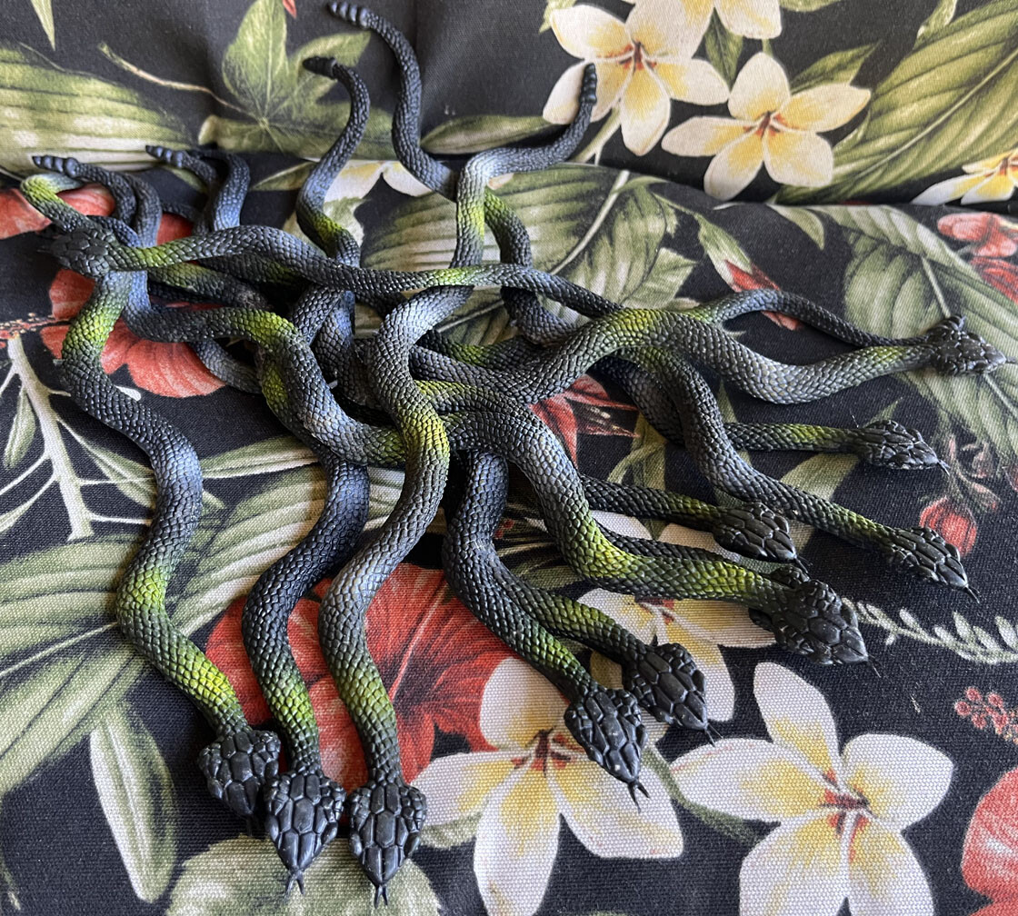 Toy Snakes (12) – Flat – Medusa?