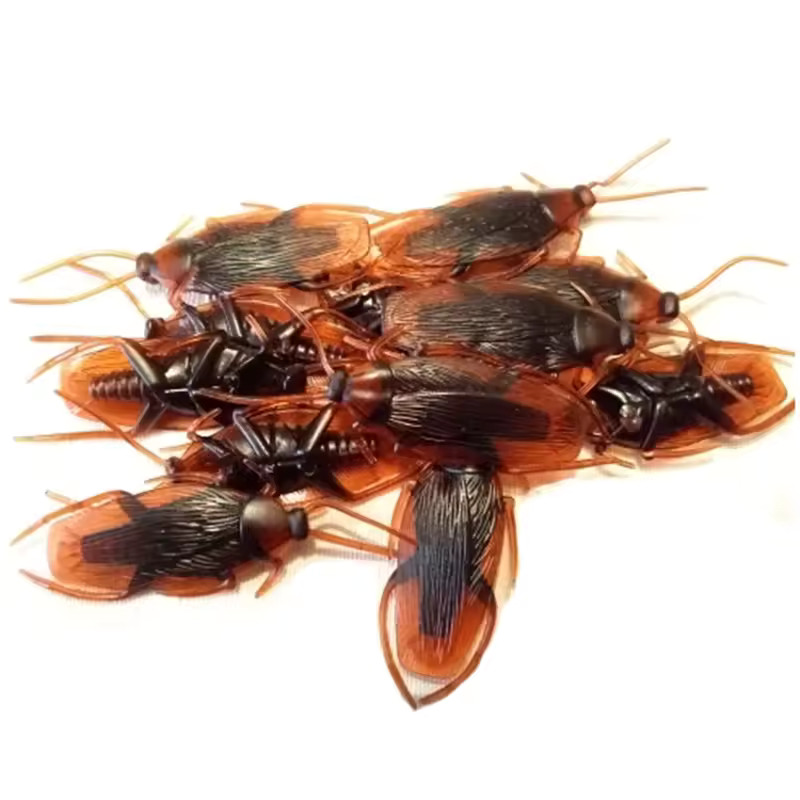 20PCS Realistic Fake Cockroach Toys – Horror Prank Props for Halloween Decor