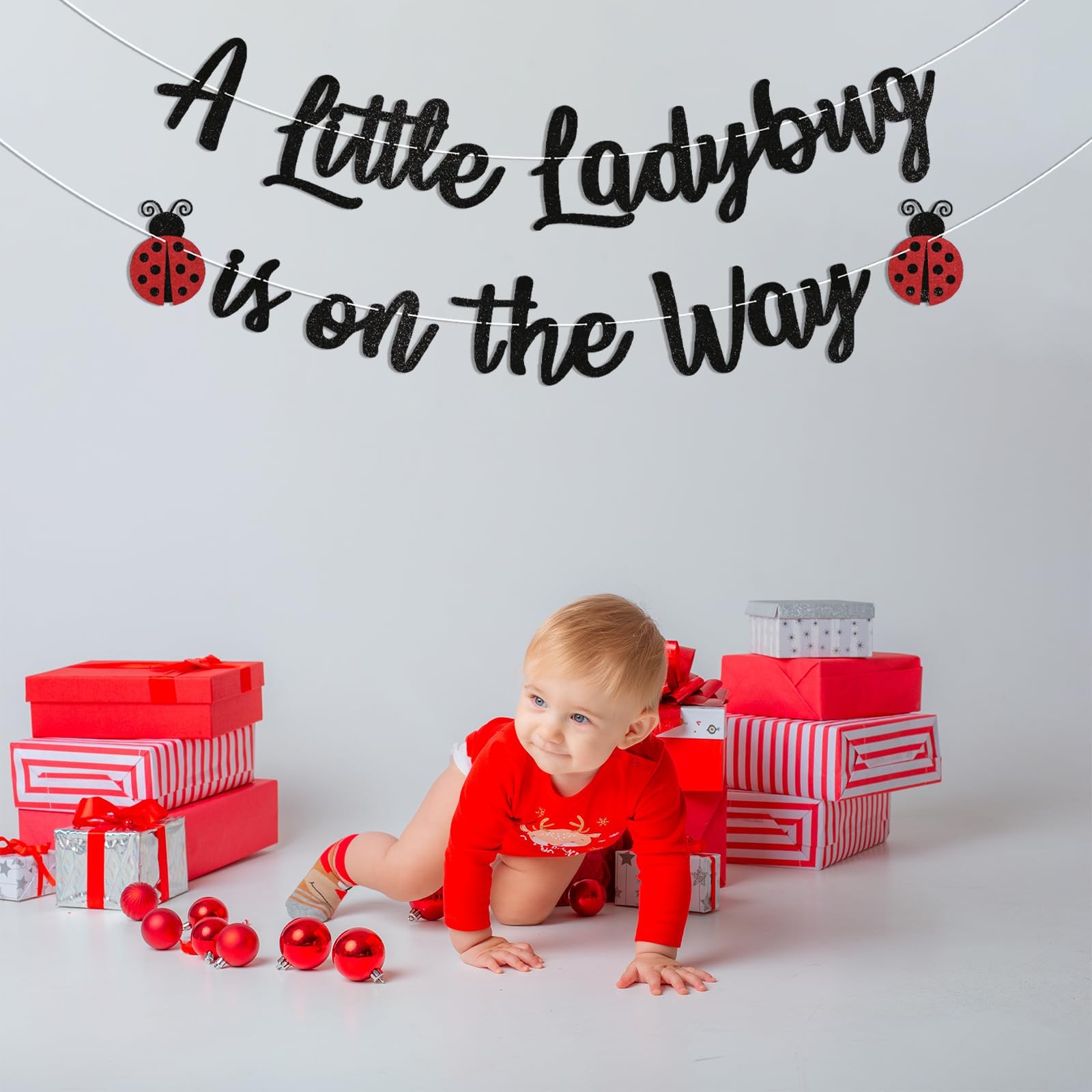 Ladybug Baby Shower Decorations – A Little Ladybug is on the Way Banner, Lady…