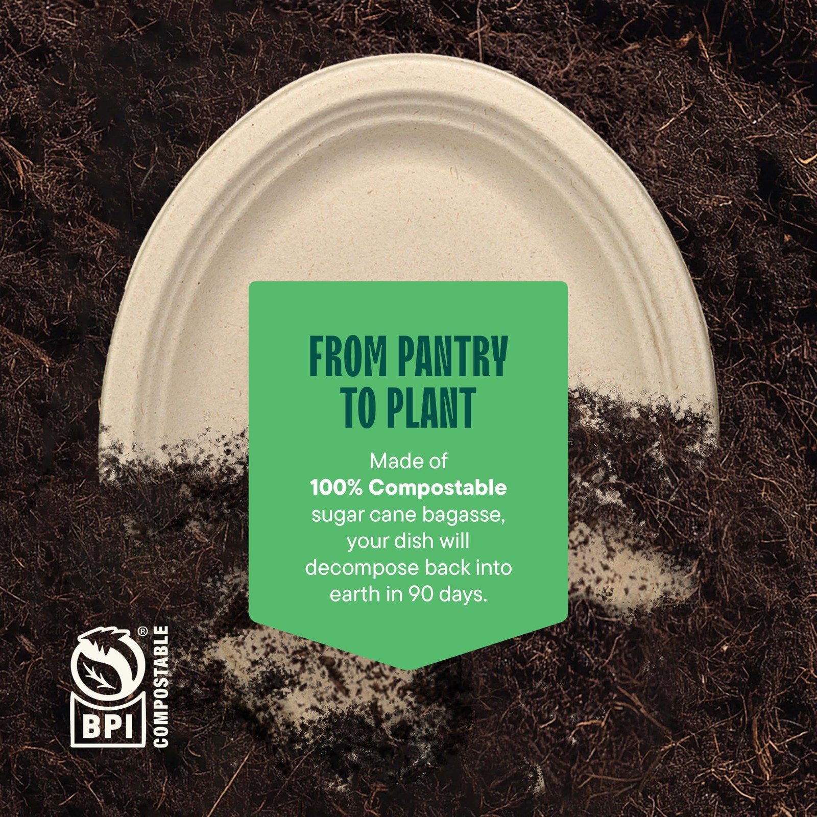 100% Compostable Oval Paper Plates [12.5 inch – 50-Pack] Large, Unbleached