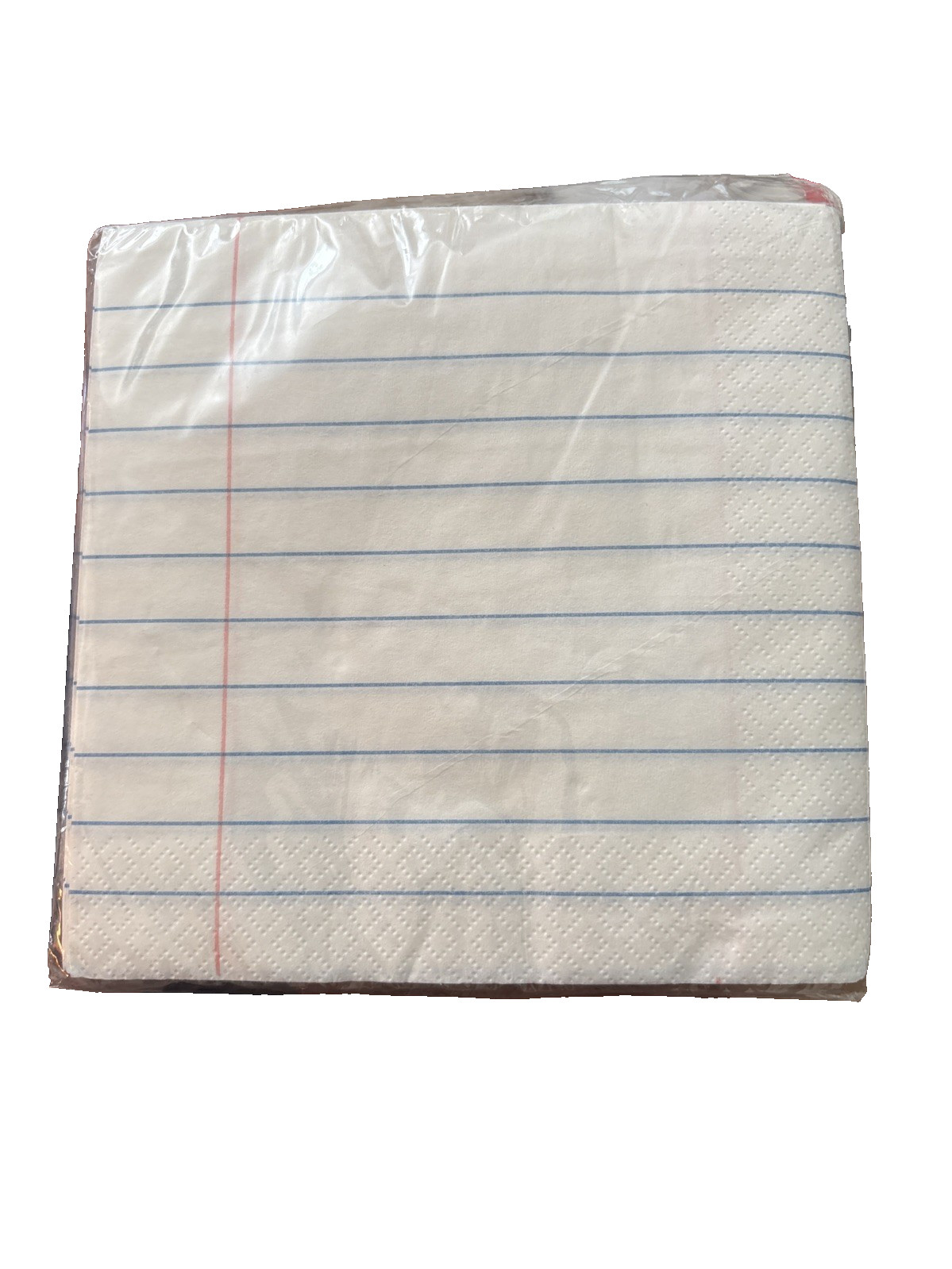 Spritz Lunch Napkins 30ct Notebook Paper Style Party School Theme New