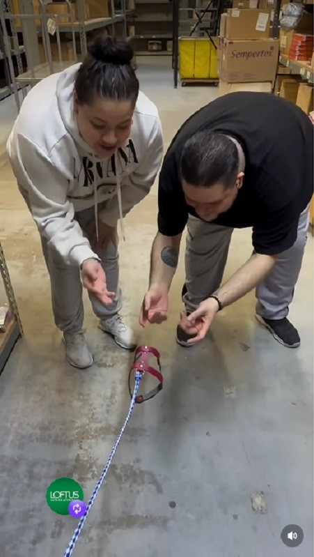 Invisible Dog Leash theatrical stage parade prop joke prank comedy clown fun gag