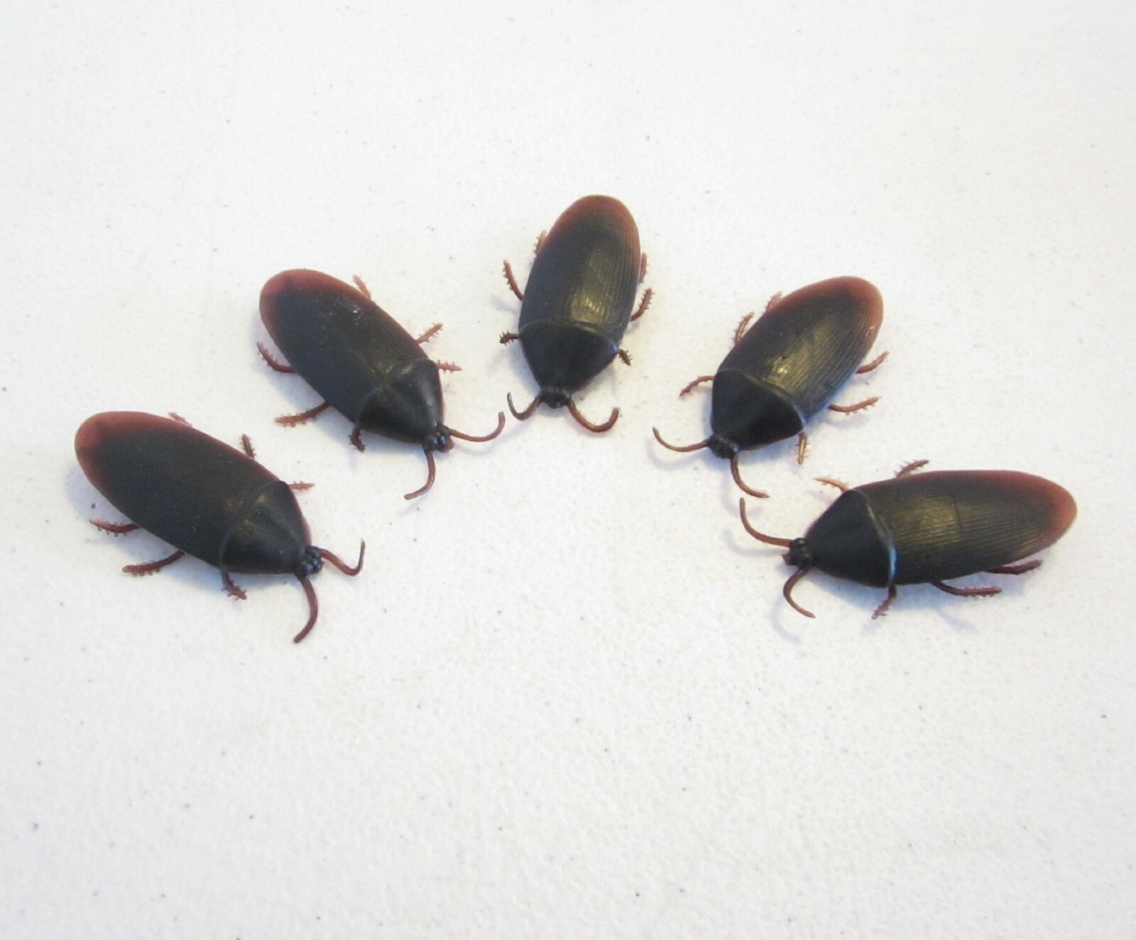 5 NEW FAKE COCKROACHES LARGE REALISTIC COCK ROACH BUGS 2″ SIZE SCARY PRANK