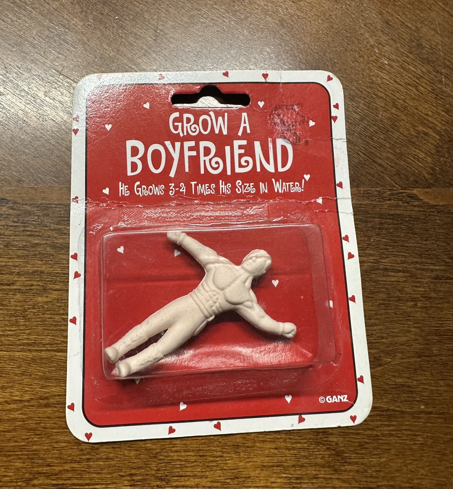 Grow a Boyfriend Miniature Water Expansion Man Gag Gift 2010 Forum Novelties New