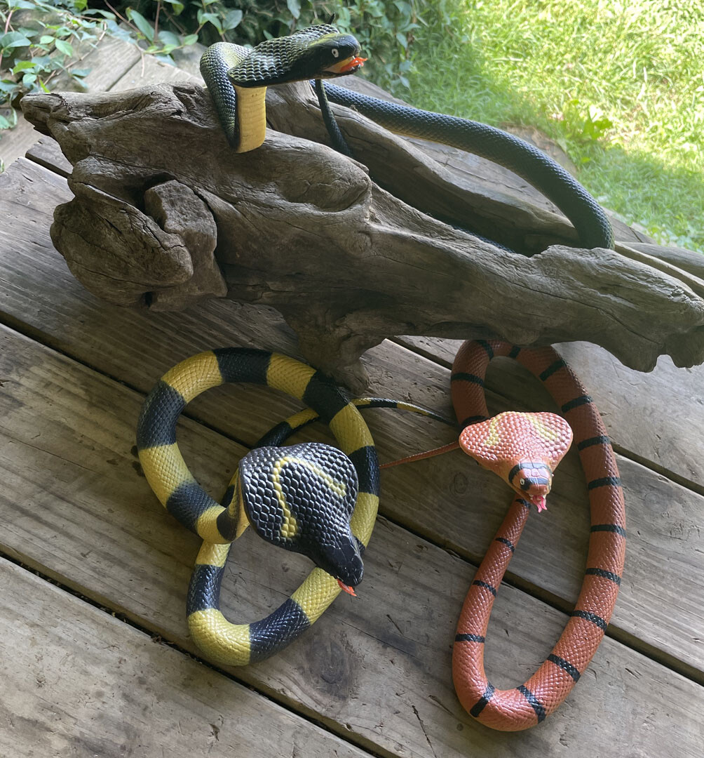40″ Cobra Rubber Snake Replica – Choice of 3 Varieties