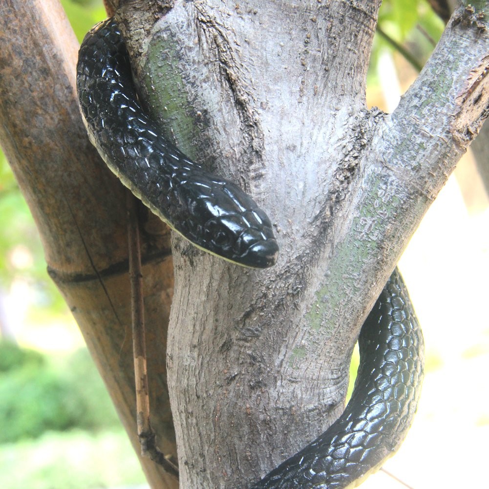 NAKIMO Realistic Rubber Fake Snake Toy 50 Inch Mamba for Garden Medium, Black