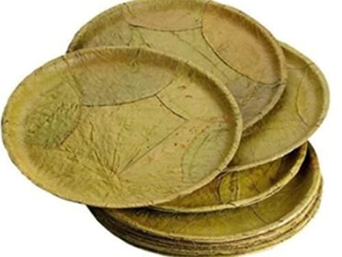 Natural Biodegradable Disposable SAL Leaf Plates -Pack of 50