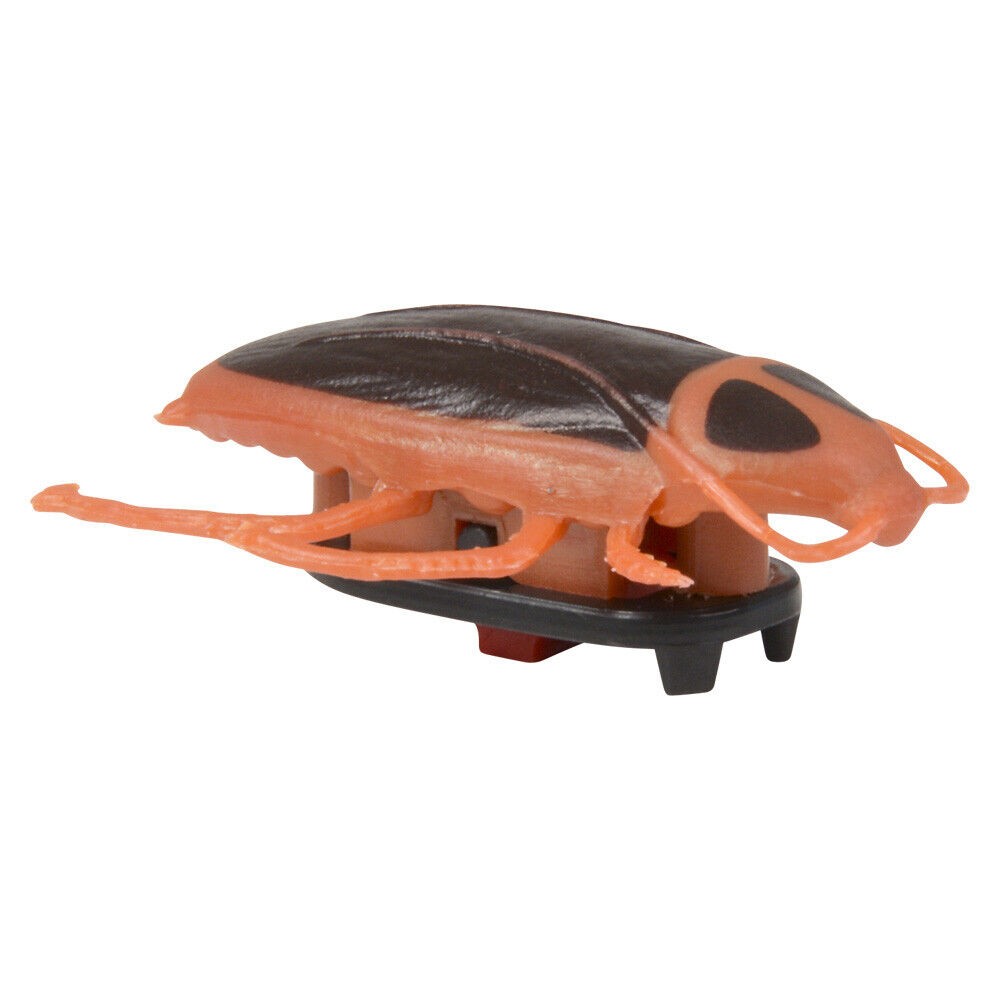 3 COCKROACH CREEPY CRAWLER ROACH BUG TRICK WALL CLIMBER GaG Novelty Joke Prank
