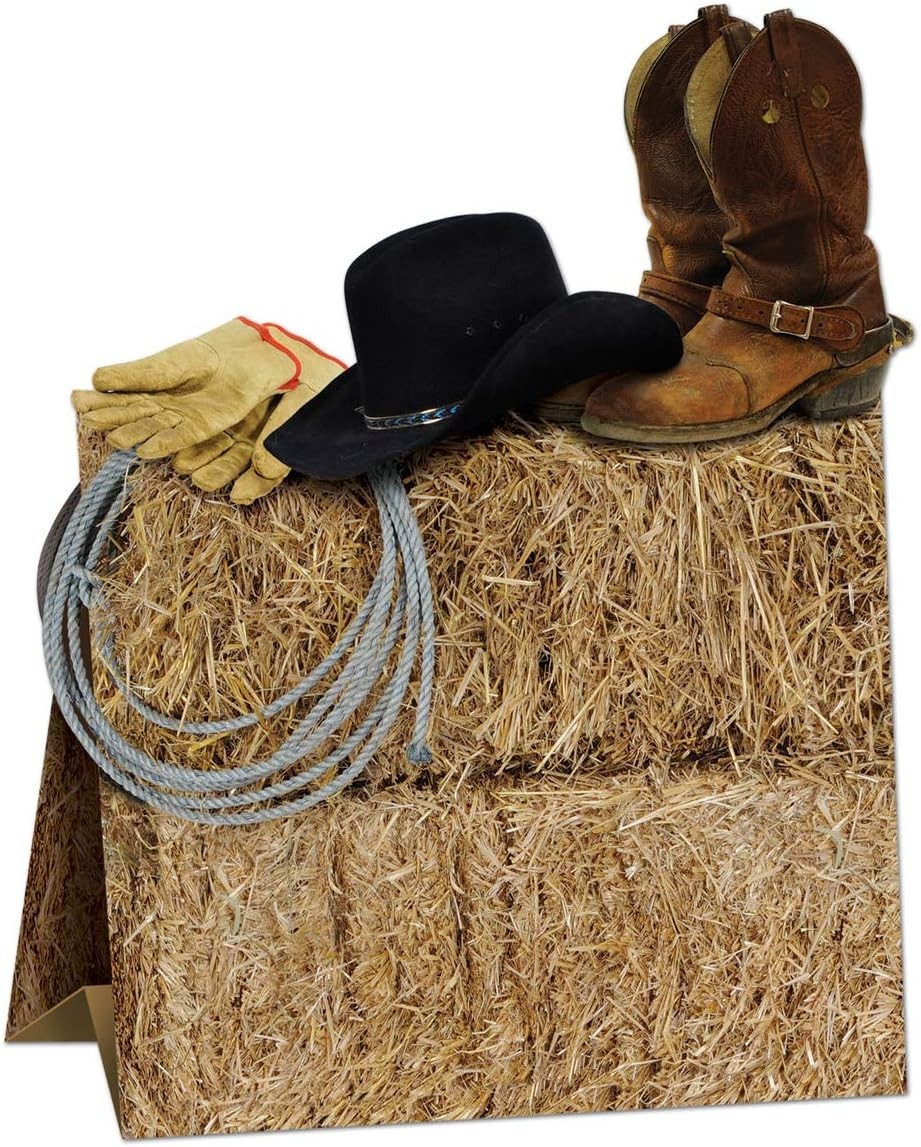 Cowboy Decor, Rustic Wild West Party Display, Desert Theme