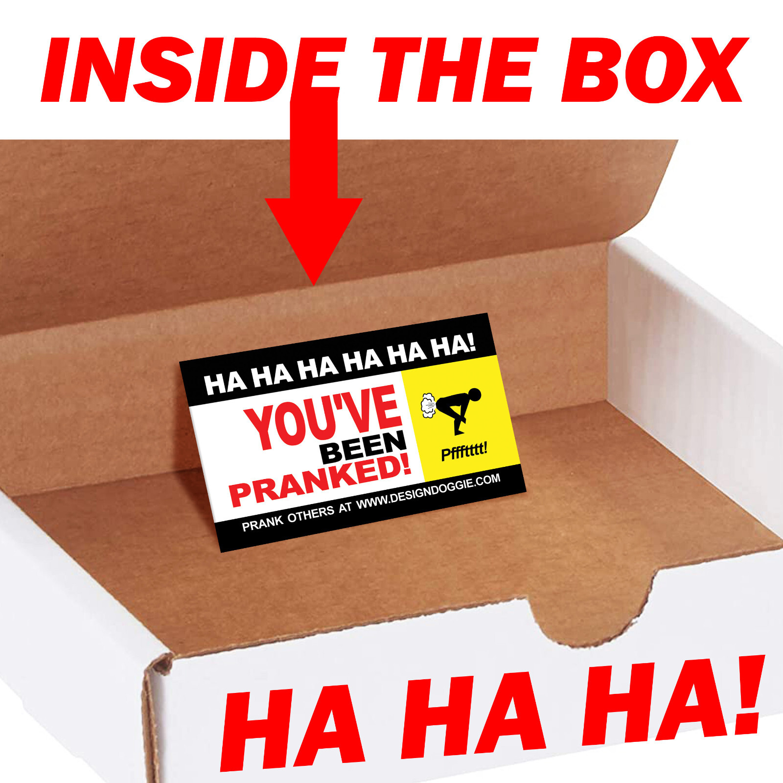 Prank Joke Pumpkin Spice Mail Sent Directly to your Friends to Embarrass Them!