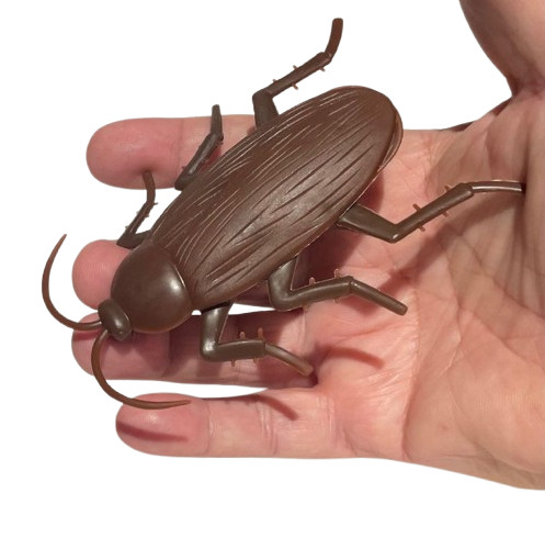 Funny WALKING COCKROACH Jumbo Roach Sticks & Crawls Down Wall Prank Joke Toy Bug