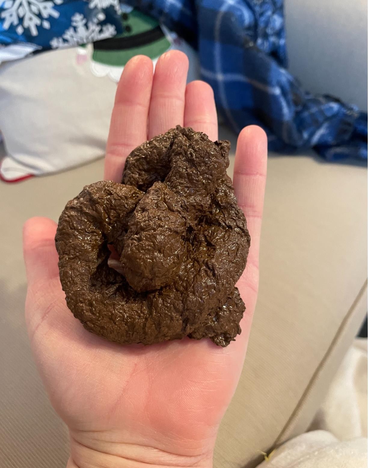 PREMIUM Fake Dog Poop Doggie Poo Realistic Doggy Doo Doo Dirt Joke Gag Crap Pile