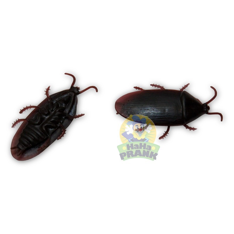 12 Fake Cockroaches – Realistic Rubber Cockroach Prank Gag Joke