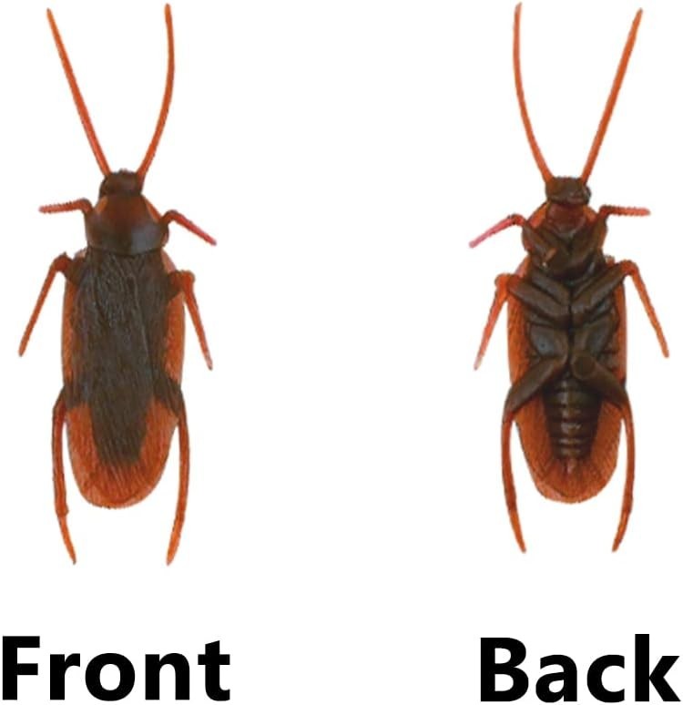 15 Realistic Fake Cockroaches for Pranks – Perfect for Halloween and Parties