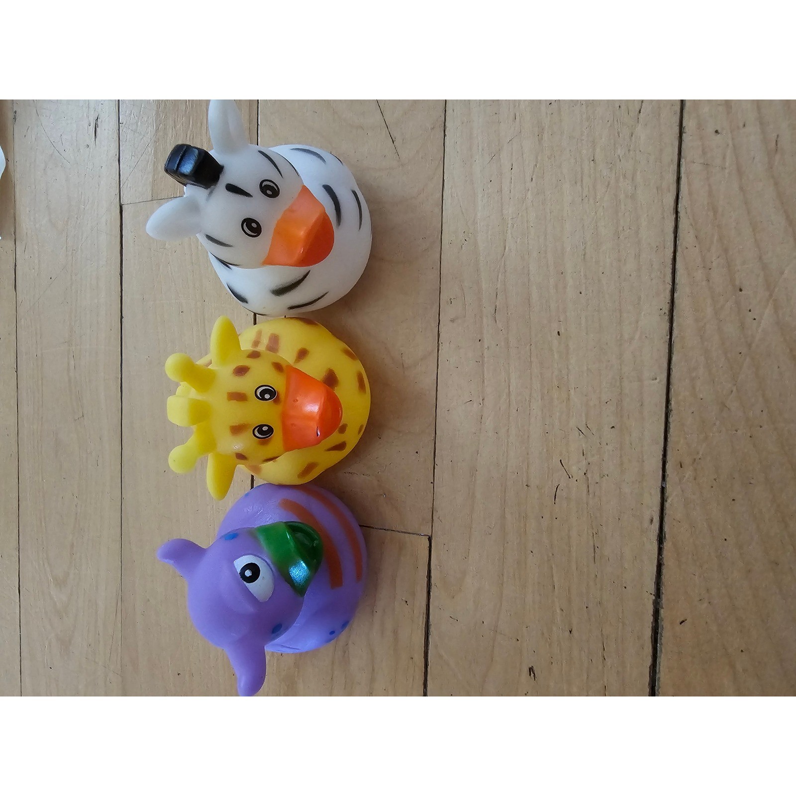 Jeep Ducking Kit Assorted Rubber Ducks with Youve Been Ducked Tags and Bands